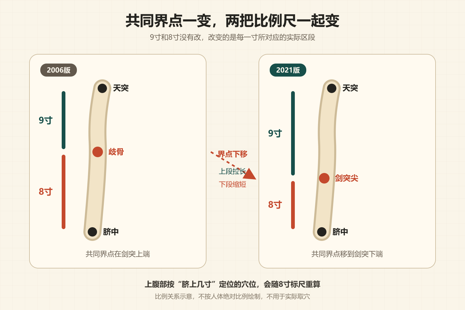 2006版与2021版胸腹部骨度共同界点变化示意
